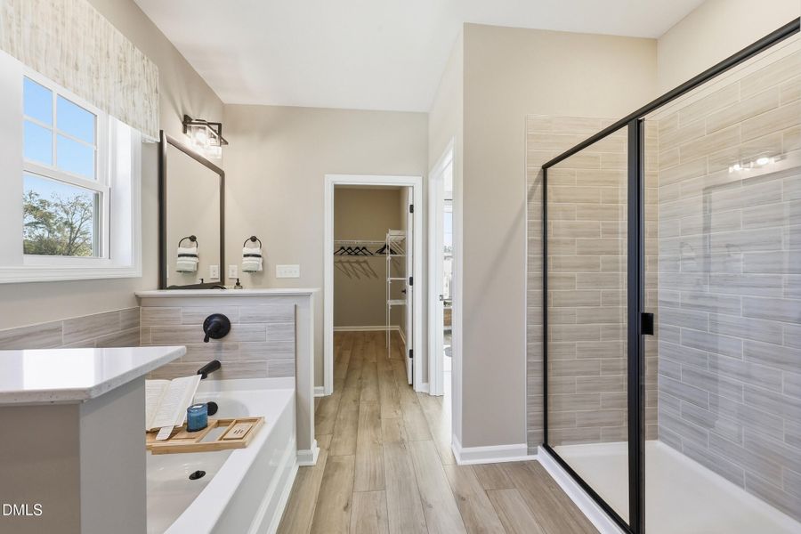 28_des_5865 28_des_5865