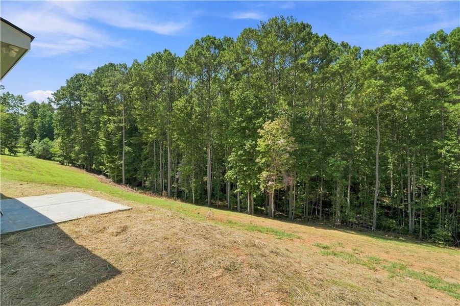 Natural landscape and outdoor views near  in Talking Rock (Image 54).