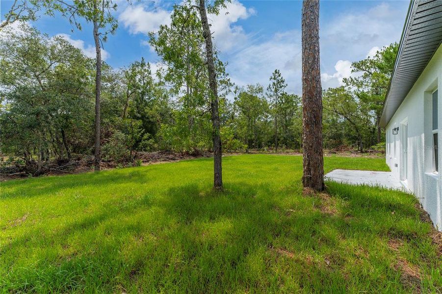 Exterior details and patio area of a home in , Citrus Springs (Image 18). Exterior details and patio area of a home in , Citrus Springs (Image 18).