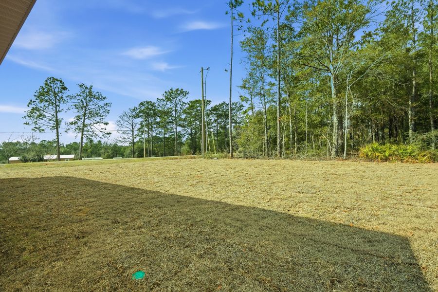 Natural landscape and outdoor views near Southern Charm in Crestview (Image 48).
