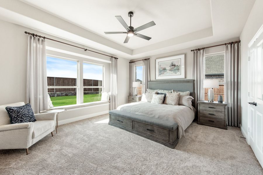 Master bedroom with tray ceiling, ceiling fan, large windows, carpet flooring, and gray wood storage bed Master bedroom with tray ceiling, ceiling fan, large windows, carpet flooring, and gray wood storage bed