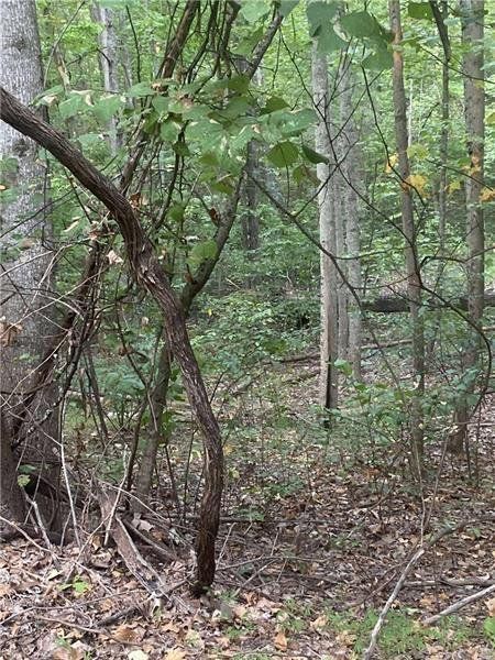 Natural landscape and outdoor views near  in Ranger (Image 13).