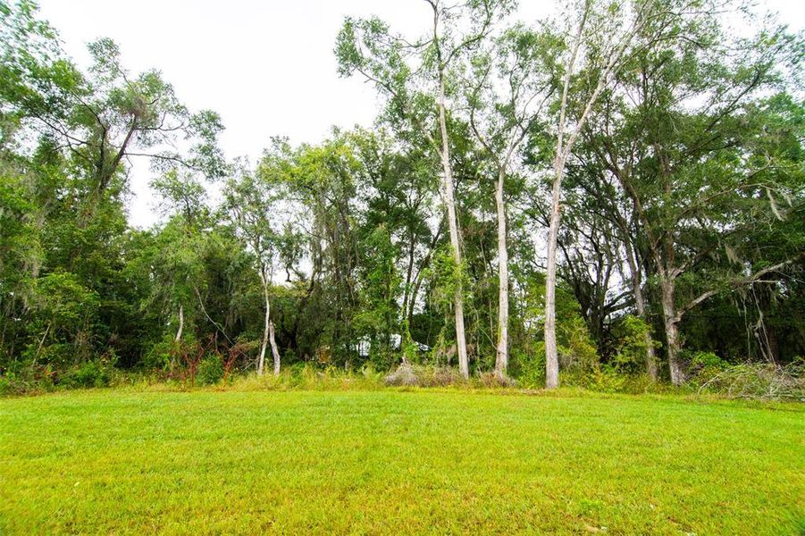 Natural landscape and outdoor views near  in Ocala (Image 22).