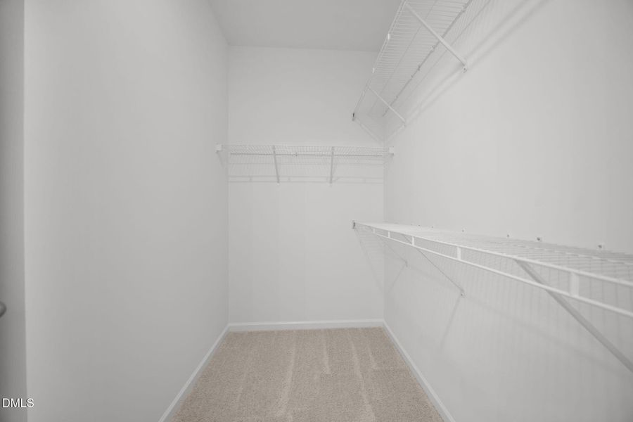 26-web-or-mls-IMG_5134