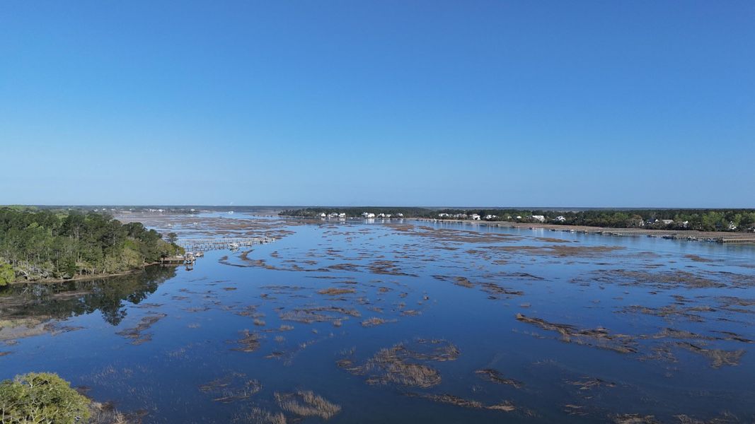 Natural landscape and outdoor views near Carolina Park: Riverside in Mount Pleasant (Image 82).
