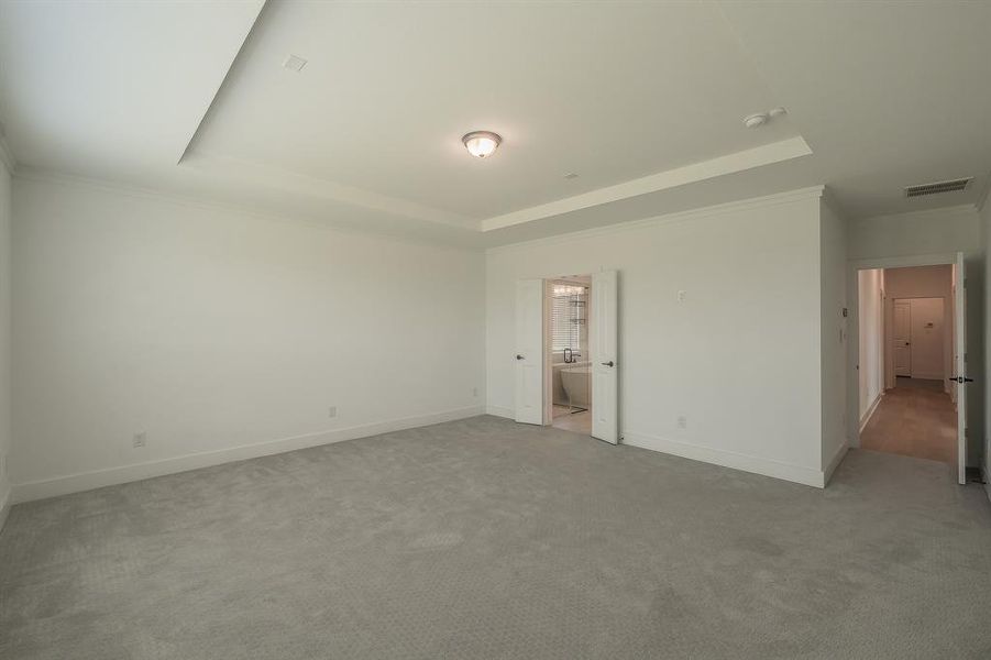 Spacious room with light grey carpet, white walls, and a tray ceiling with a central light fixture