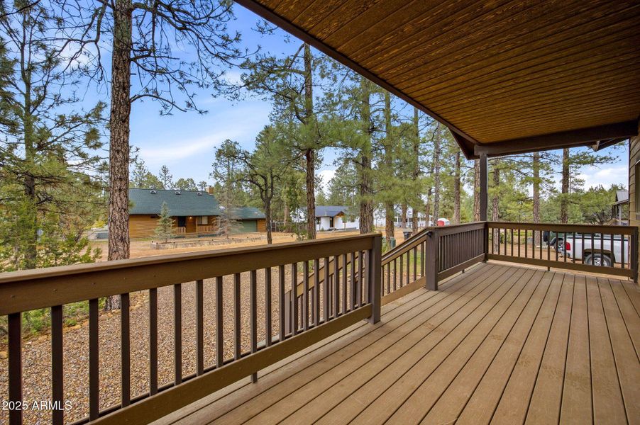 1979ChristmasPineCircle-HeberOvergaard-A