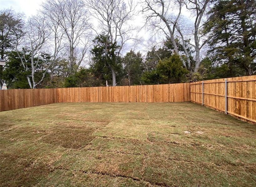 Private backyard with tree line Private backyard with tree line