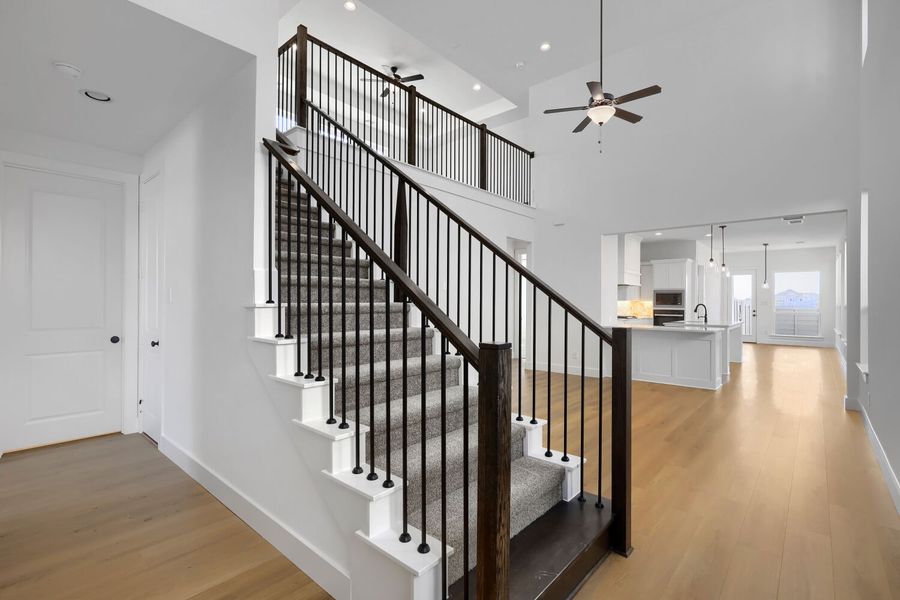 1709 Clover Fern - Entry