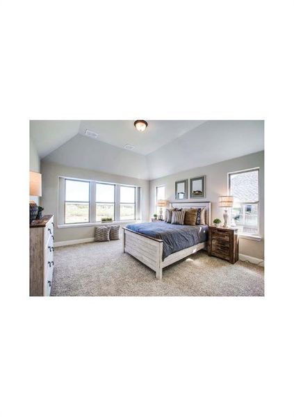 Carpeted bedroom featuring multiple windows and vaulted ceiling