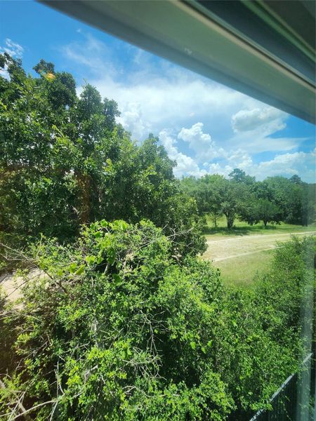 Natural landscape and outdoor views near in Houston (Image 31). Natural landscape and outdoor views near in Houston (Image 31).