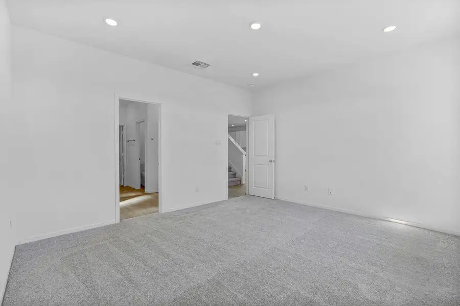 615 Yaupon Holly ~ Ready Now 615 Yaupon Holly ~ Ready Now