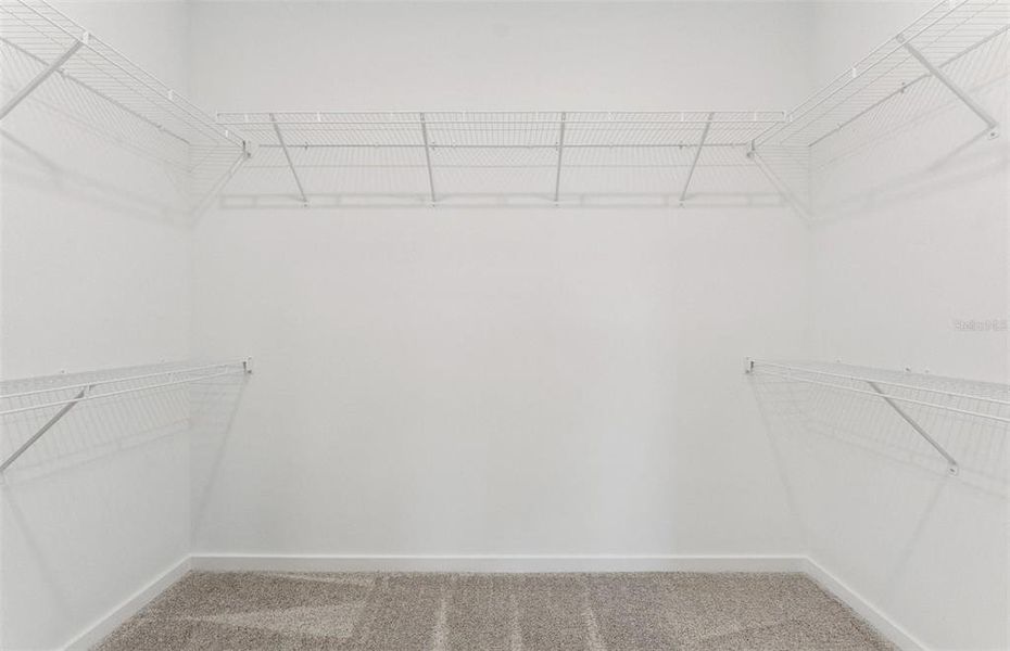 Spacious, unfurnished interior of a new home in Riverwood, Zephyrhills (Image 11).