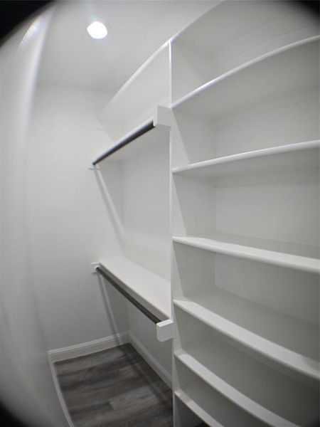 Spacious closet featuring dark hardwood / wood-style flooring