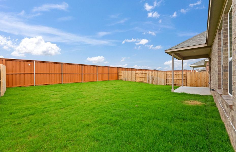 Backyard