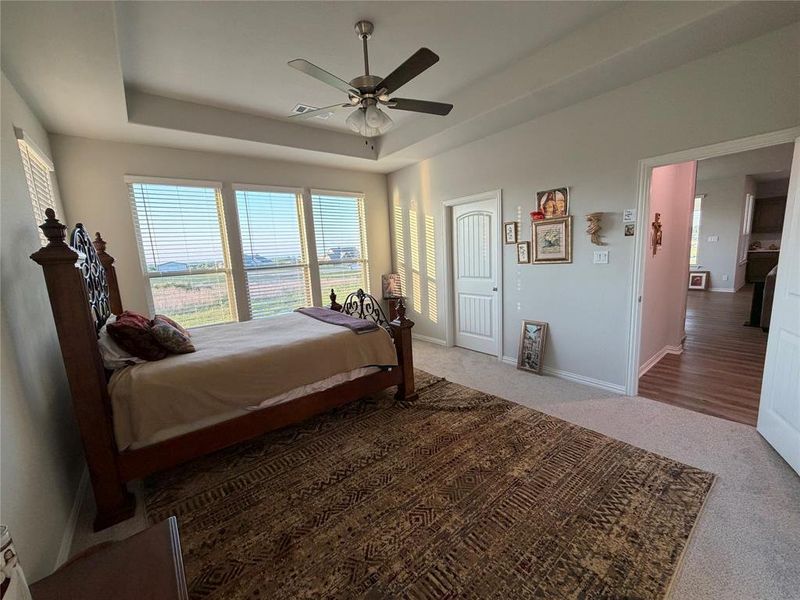 Spacious room featuring multiple windows with blinds, a tray ceiling, and a ceiling fan