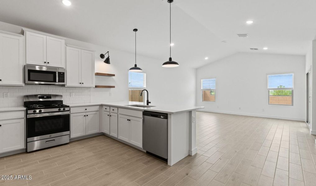 LS Lot #77 Kitchen 4 (Large)