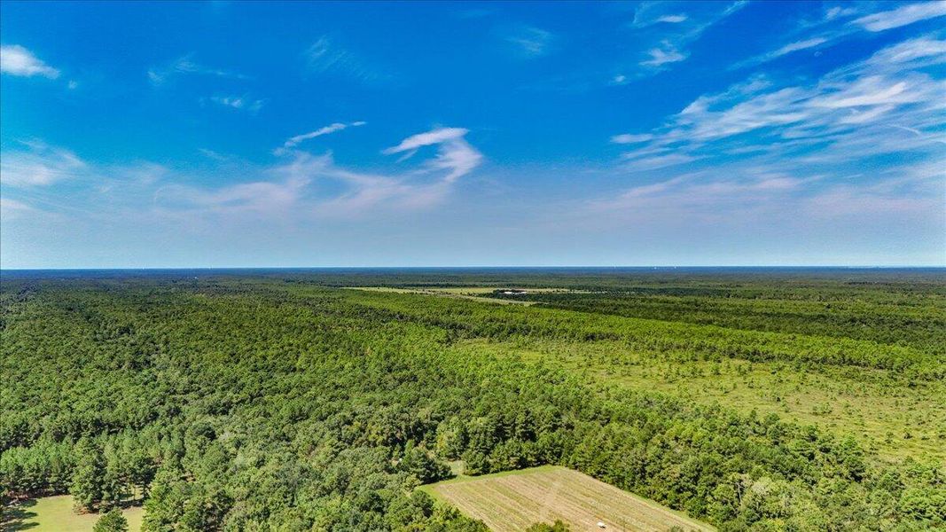 Natural landscape and outdoor views near  in Cordesville (Image 37).