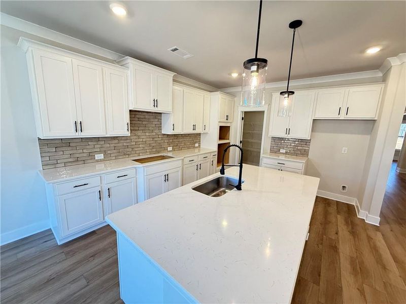 Furnished interior view inside a new home in Ponderosa Farms Manor, Gainesville (Image 13).