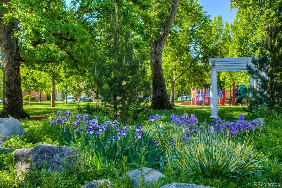Summertime in Library Park, adjacent to La Vie Lumiere.