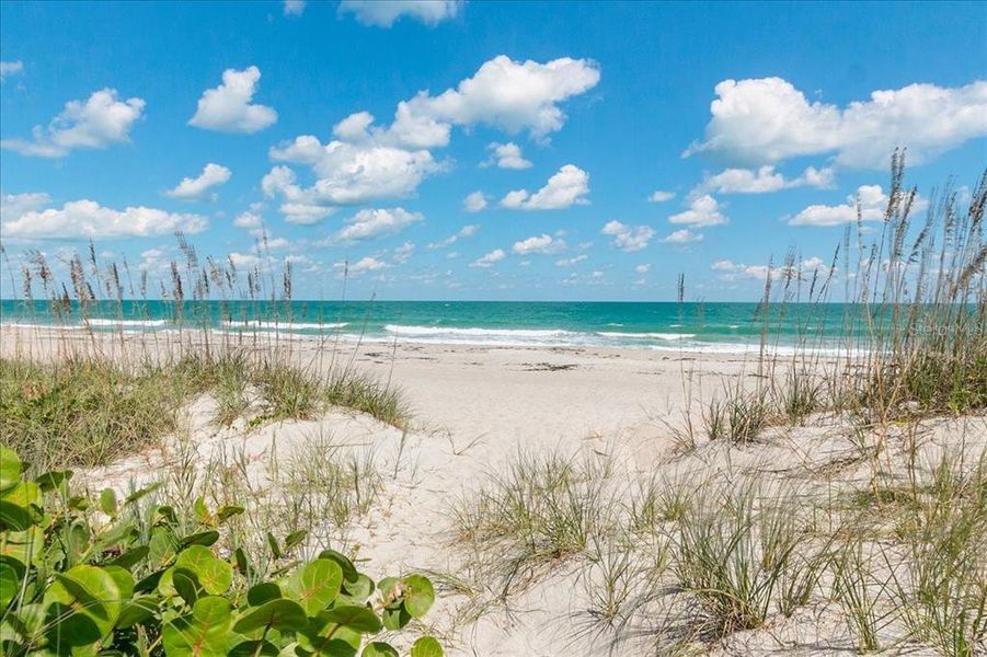 Natural landscape and outdoor views near in Cocoa Beach (Image 39). Natural landscape and outdoor views near in Cocoa Beach (Image 39).