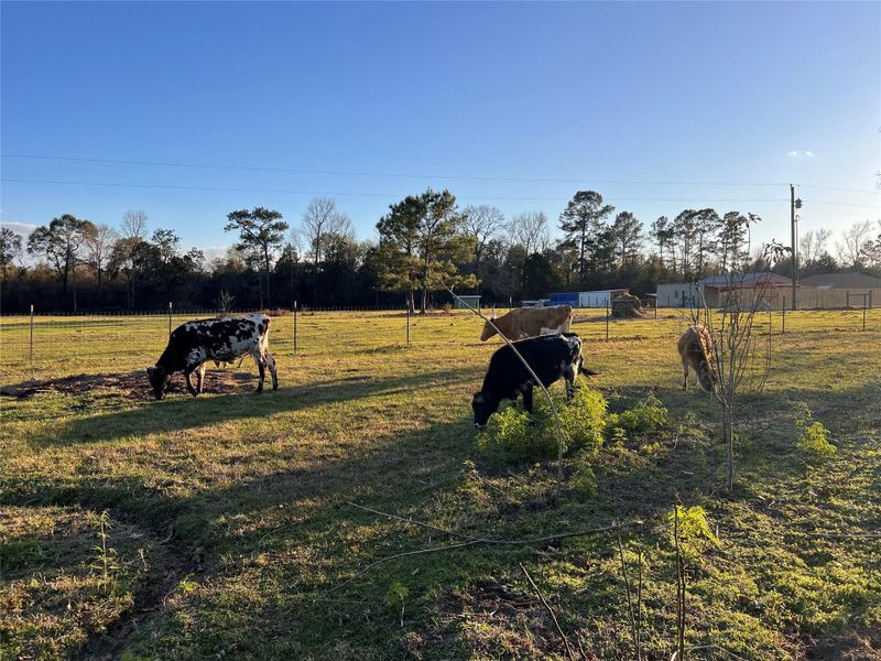 Image 38 of a home in .