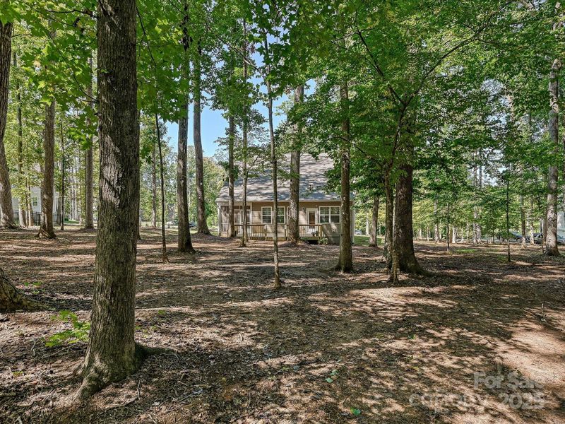 Nature Bathe in Your Backyard! Nature Bathe in Your Backyard!