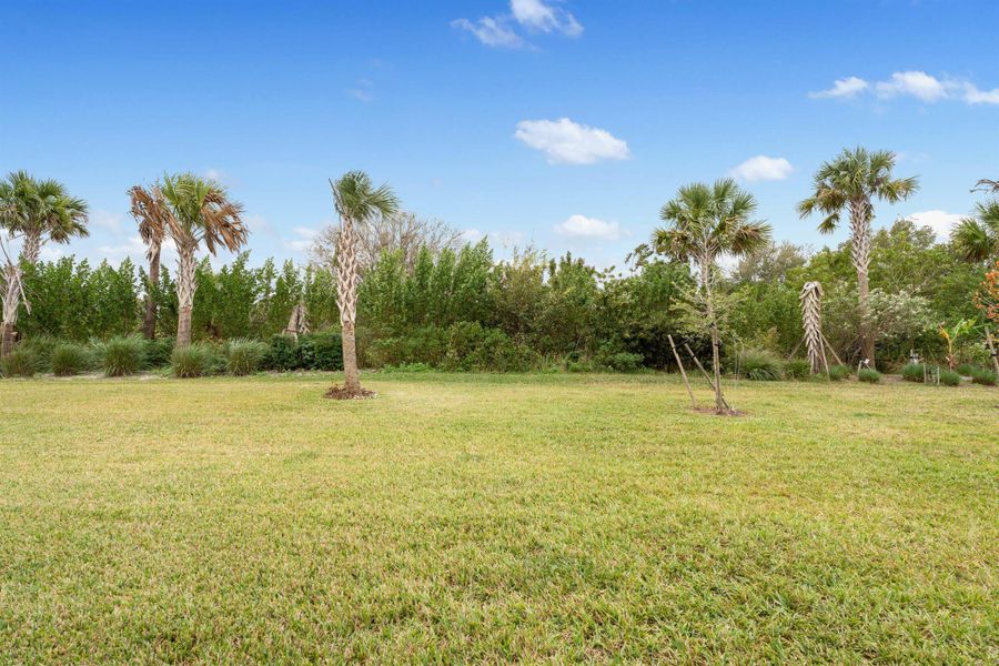 Natural landscape and outdoor views near  in Fort Pierce (Image 31).