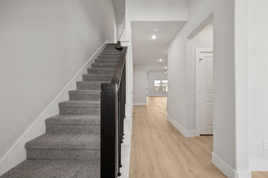 Staircase with hardwood / wood-style flooring