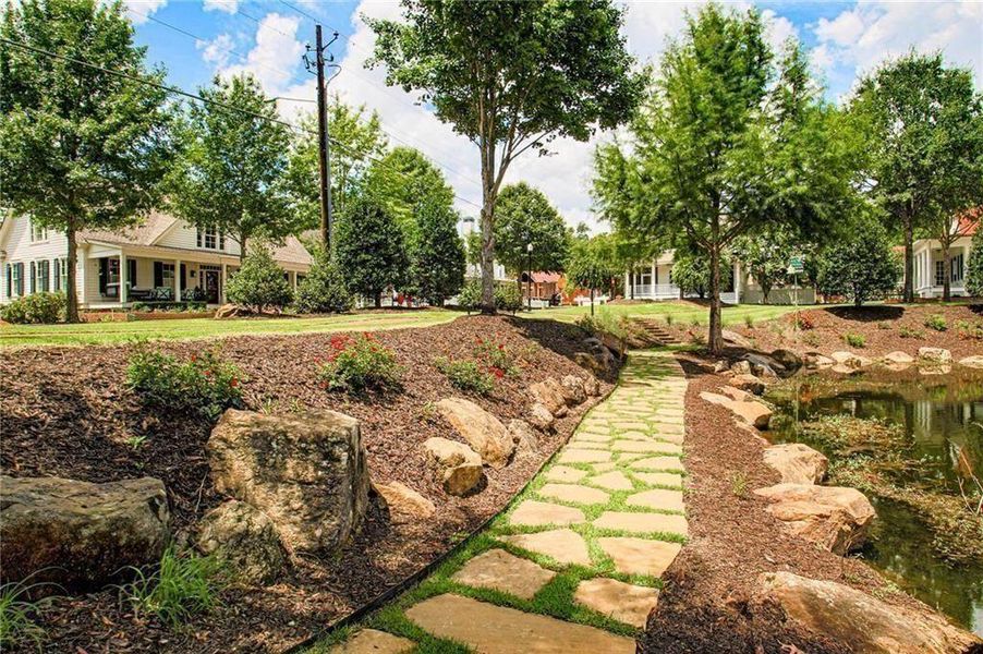 Natural landscape and outdoor views near in Senoia (Image 22). Natural landscape and outdoor views near in Senoia (Image 22).