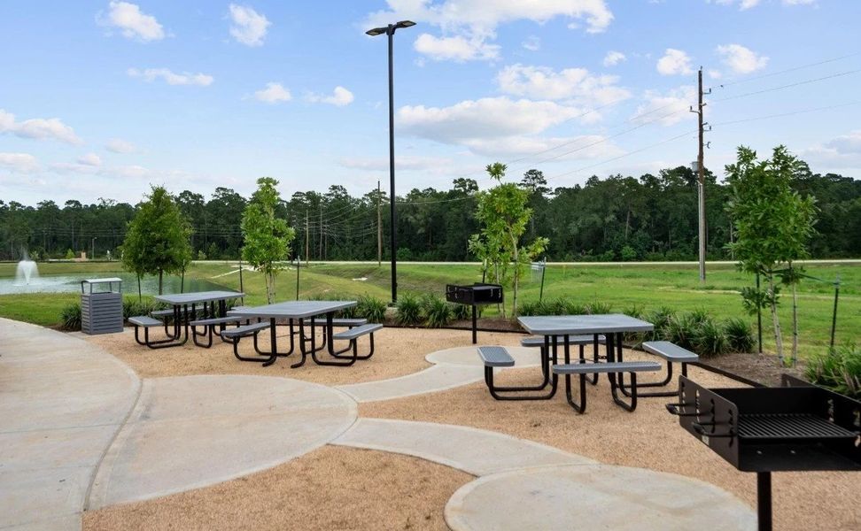 Community amenities in Spring Creek Trails, Magnolia (Image 18).