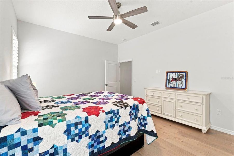 Furnished interior view inside a new home in , Dunedin (Image 18).