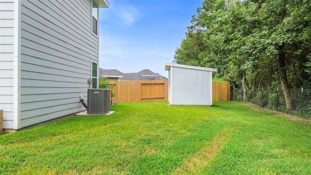 Beautiful Large Backyard