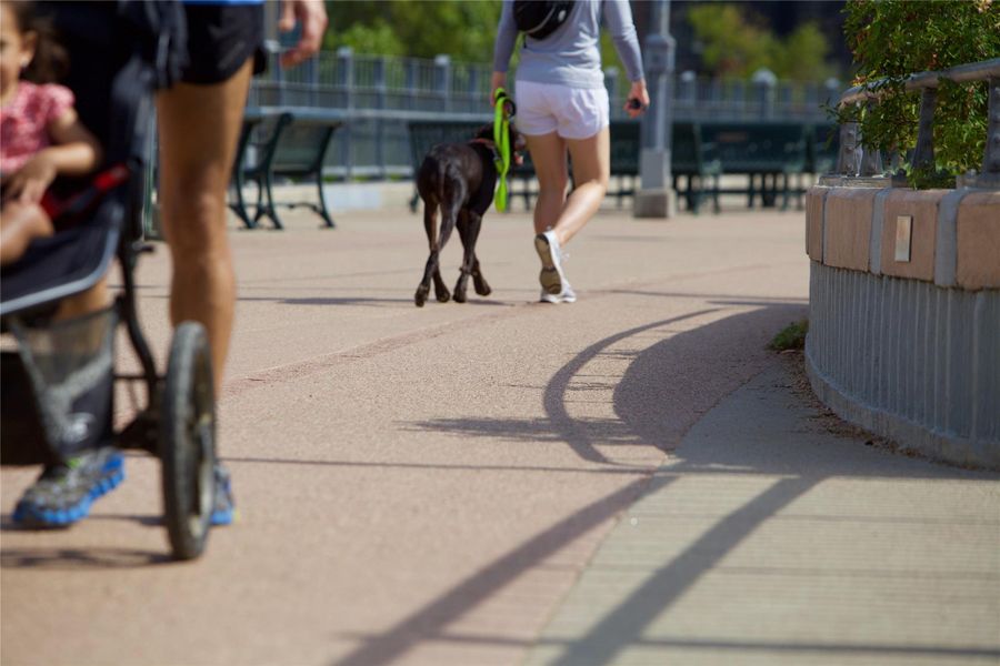 Pfluger Pedestrian Bridge offers stunning downtown views, connecting trails and green spaces over Lady Bird Lake.