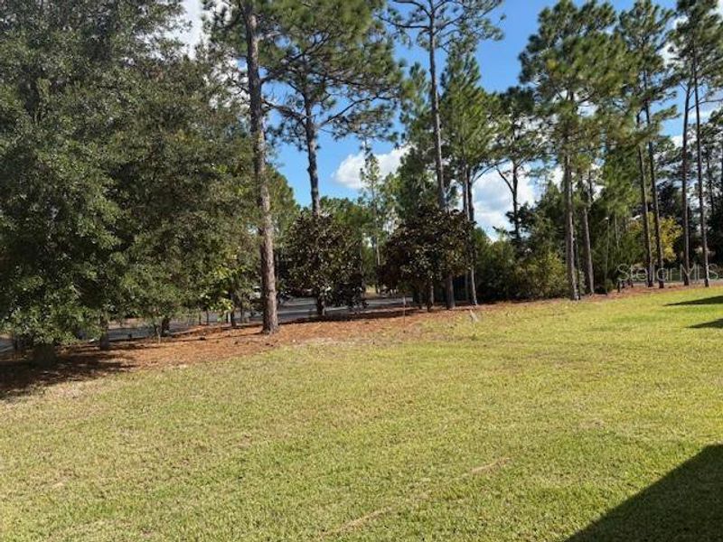 Natural landscape and outdoor views near Juliette Falls in Dunnellon (Image 5).