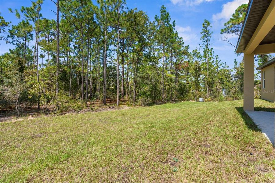Natural landscape and outdoor views near in Weeki Wachee (Image 31). Natural landscape and outdoor views near in Weeki Wachee (Image 31).