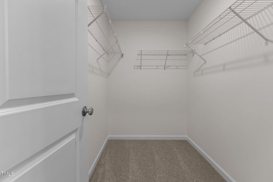 30-web-or-mls-2N6A0106 30-web-or-mls-2N6A0106