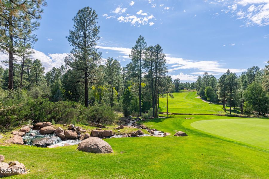 Chaparral Pines - 14