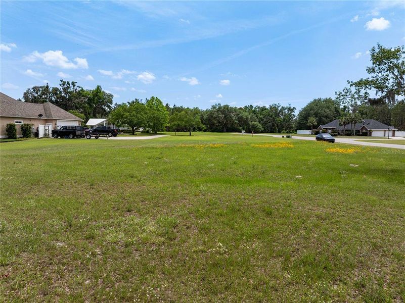 Natural landscape and outdoor views near  in Live Oak (Image 27).