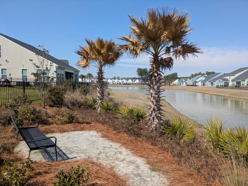 Community amenities in , Ravenel (Image 26).