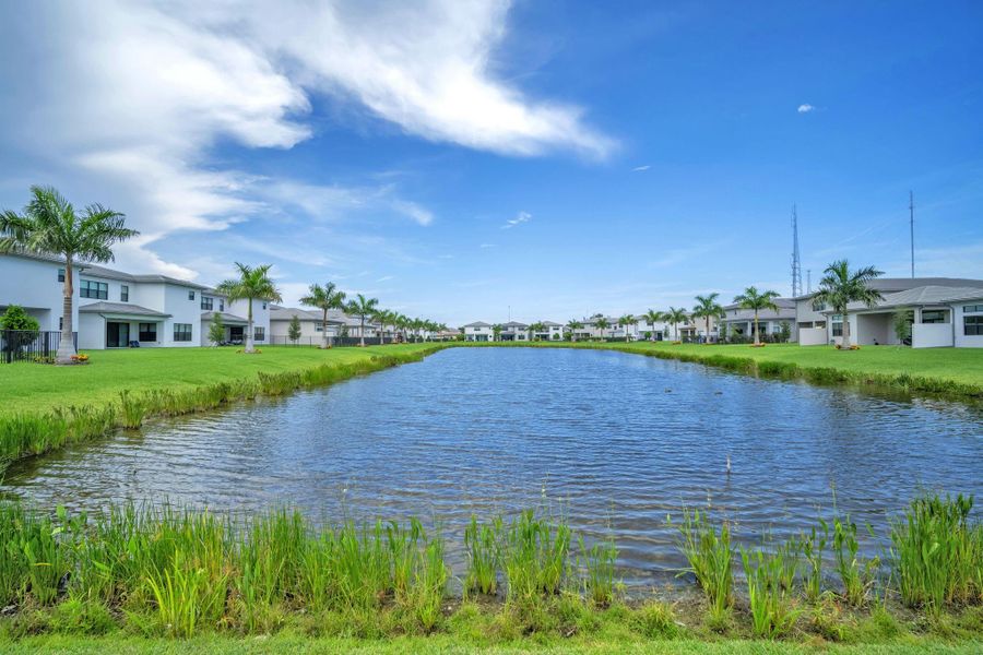 Natural landscape and outdoor views near  in Boca Raton (Image 69).