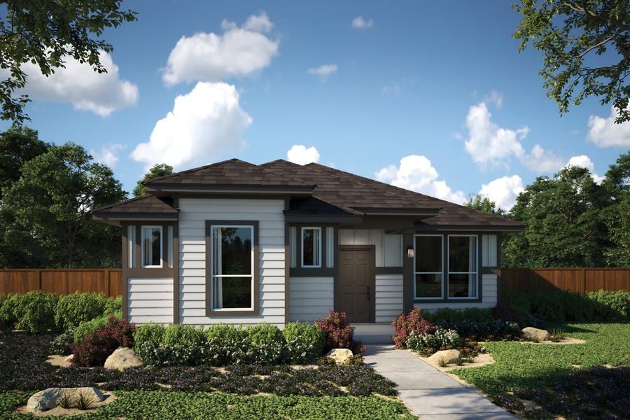 Buttercup A Buttercup A