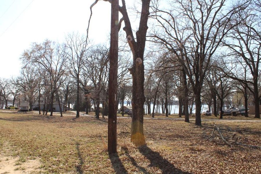 Natural landscape and outdoor views near  in Quinlan (Image 9).