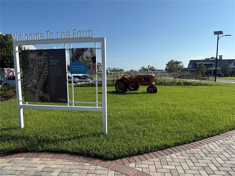 Community amenities in , Land O' Lakes (Image 34). Community amenities in , Land O' Lakes (Image 34).