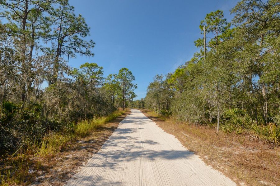 Natural landscape and outdoor views near  in Sebring (Image 29).