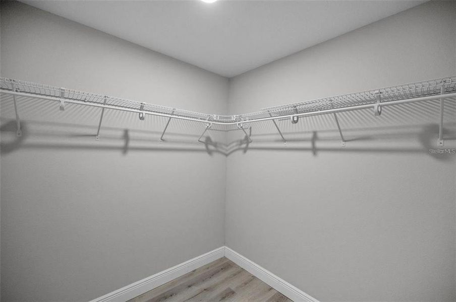 Spacious, unfurnished interior of a new home in , Tampa (Image 15). Spacious, unfurnished interior of a new home in , Tampa (Image 15).