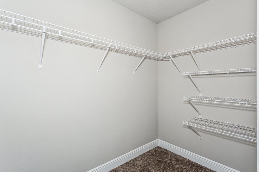Representative unfurnished interior of a home built from the The Sapphire by Herbst Homes in Prosperity Point, Milton (Image 103).