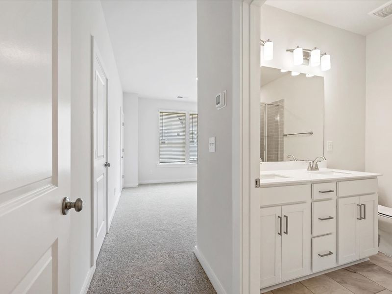 Owner's Bath