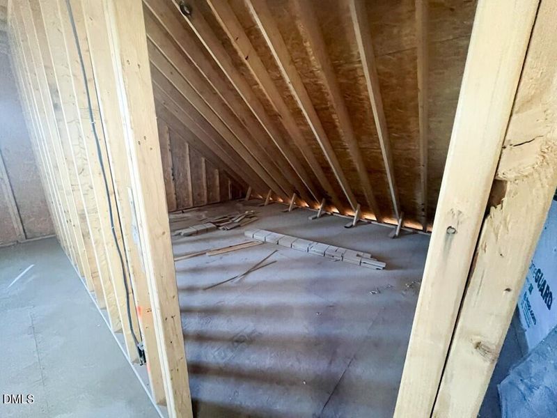 Photo Dec 22 2025, 1 36 01 PM (Medium)