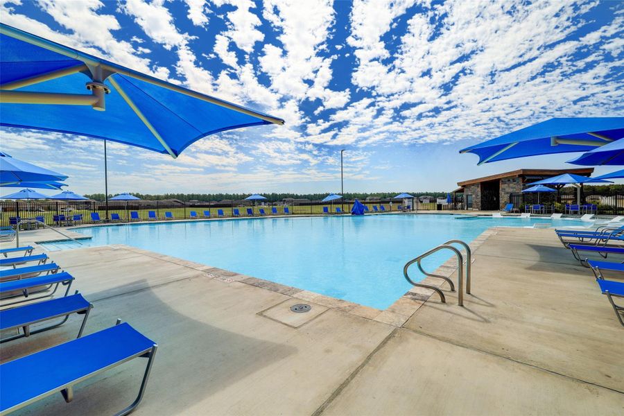 Community amenities in Harrington Trails at The Canopies, Splendora (Image 17).